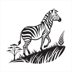 plain zebra vector illustration
