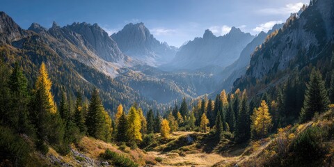 Obraz premium Autumnal alpine valley with golden larches nestled amongst dark evergreens, dramatic rocky peaks under a clear blue sky
