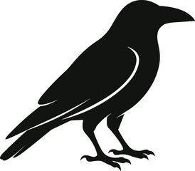 Crow Silhouette Vector
