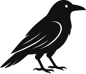 Fototapeta premium Crow Silhouette Vector