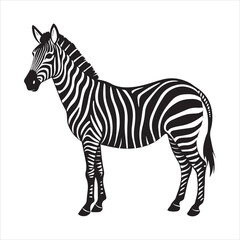 plain zebra vector illustration