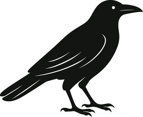Crow Silhouette Vector