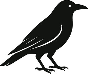 Crow Silhouette Vector
