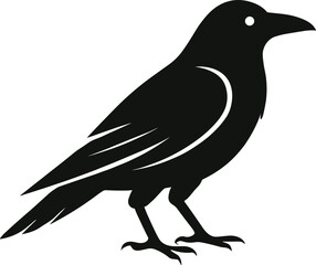 Crow Silhouette Vector