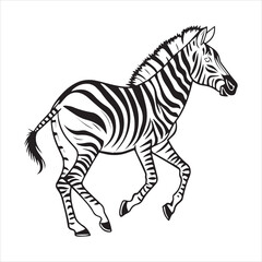 plain zebra vector illustration