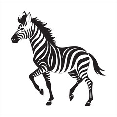 plain zebra vector illustration