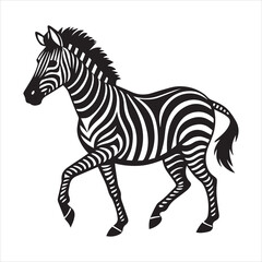 plain zebra vector illustration