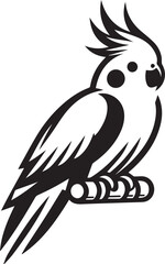 Cockatiel Parrot Vector