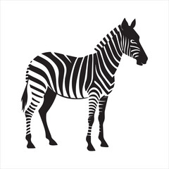 plain zebra vector illustration