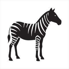 plain zebra vector illustration