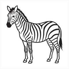 plain zebra vector illustration