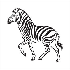 plain zebra vector illustration