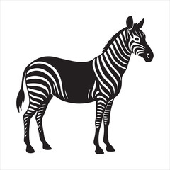 plain zebra vector illustration