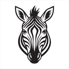 plain zebra vector illustration