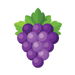 Purple bunch of grapes. Grapes vector illustration. Grapes fruit vector. Vector grape icon