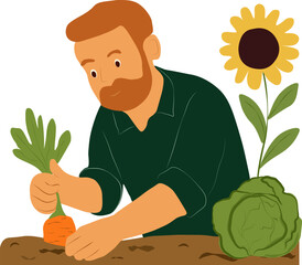 Man Harvesting Carrot in Garden