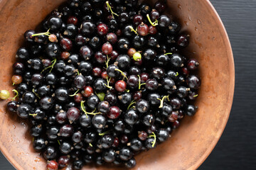 Freshly harvested blackcurrants piled in a rustic wooden bowl ready for delicious recipes and...