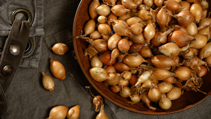 Golden shallots in a wooden bowl showcase the harvest's beauty on a rustic fabric, inviting...