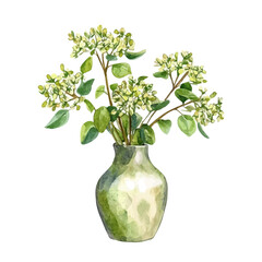 A Meadow Rue In A Vase, watercolor illustration vector, isolated on a white background.