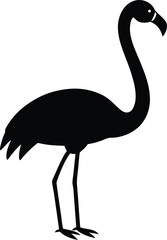 flamingo bird vector,  Flamingo bird animal clipart