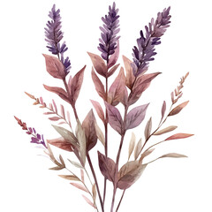 A Lavender Plant, watercolor clipart vector, isolated on a white background.
