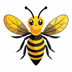 bee vector illustration, animal, isolated on white background