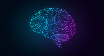 human brain model