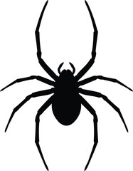 Spider Silhouette Vector Illustration

