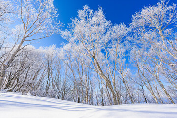 赤城山黒檜山山頂付近の霧氷