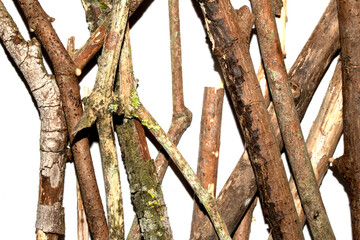 Small natural fallen tree twigs sticks and branches on a white background