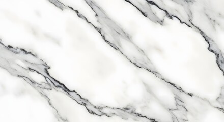 White marble with black veining