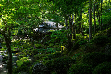 夏の教林坊