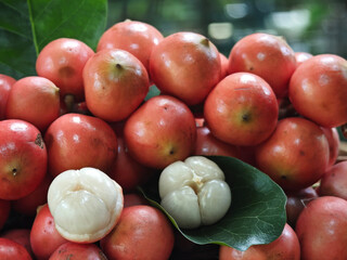 Red Baccaurea ramiflora Lour fruit