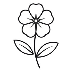 crowfoot flower  vector line art on white back-ground.