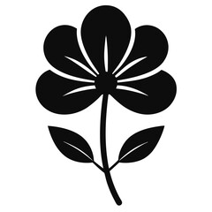  crowfoot flower silhouette isolated on white-back-ground © Mariam