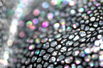 Abstract Bubble Wrap Plastic Circles Shiny Coloured Background