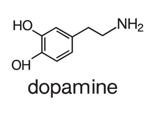 Chemical structure of dopamine molecule, isolated on white background, black graphic illustration. concept of neurotransmitter, brain chemistry, biochemistry, scientific study, design element