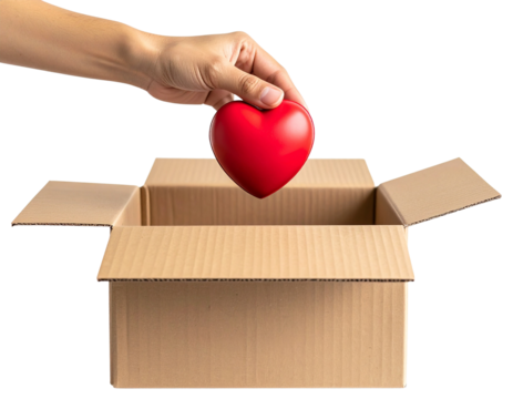 Female Hand Holding Red Heart Over Donation Box, Symbol of Charity and Love, isolated on transparent background PNG