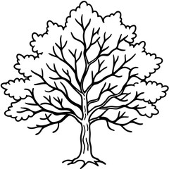 Obraz premium Snow-covered Tree line art vector
