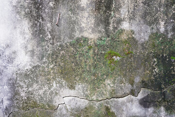 The old concrete texture has black stains and moss growing