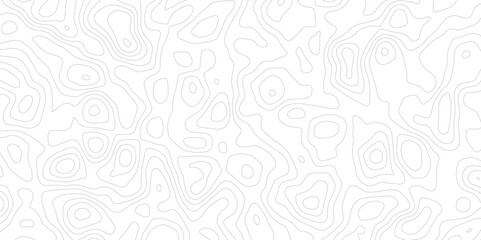 White and Gray Contour Line Pattern Background – Abstract Topographic Map.