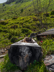 A rustic fountain in the Swiss Alps carved out of a tree trunk