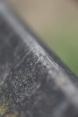 Wood texture