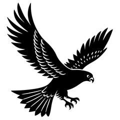 eagle vector illustration