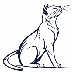 black cat with a cat