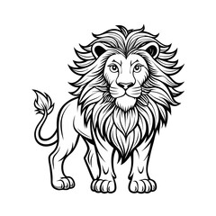 lion vector illustration