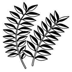 Elegant Botanical Illustration  Two stylized fern branches for graphic design or pattern elements on white background.