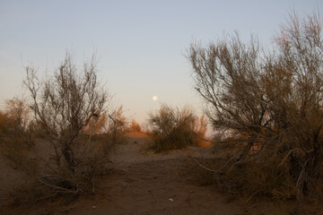 Uzbekistan desert and Yurt camp near Yangigazgan