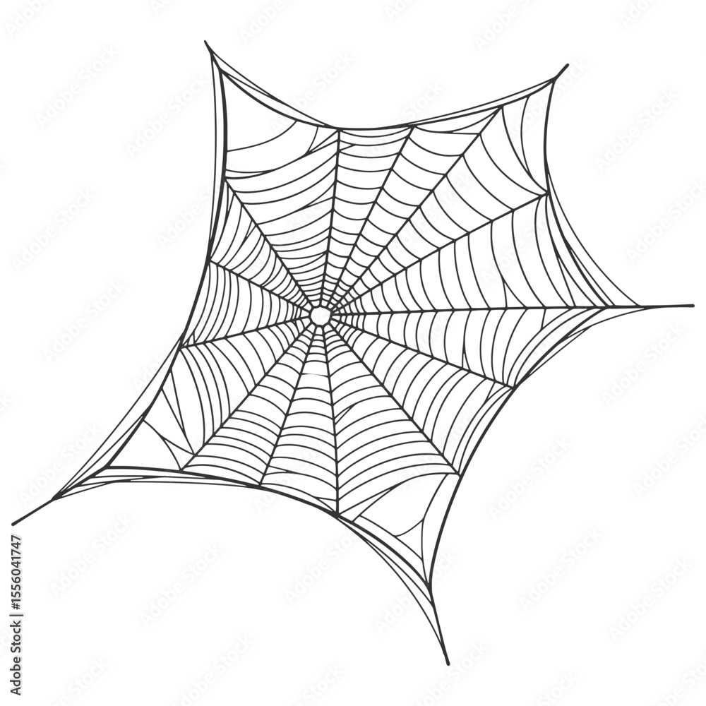 Wall mural spider web line art vector eps