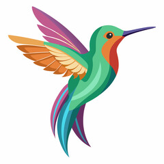 hummingbird, kingfisher vector illustration, animal, isolated on white background